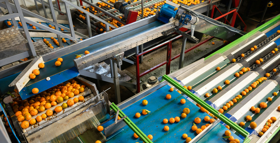 Industrial assembly line with oranges moving along conveyor belts, illustrating the assembly line test framework for deciding when to hire a fractional CMO
